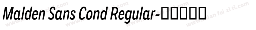 Malden Sans Cond Regular字体转换